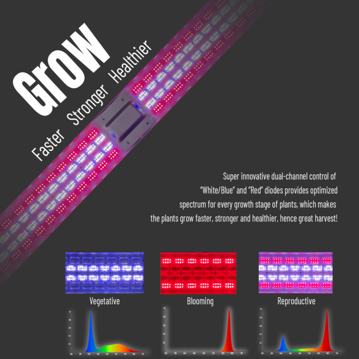 Can High Efficiency Greenhouse Lights Reduce Energy Costs?