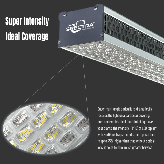 How Does Dimmable Horticulture LED Lighting Improve Plant Health
