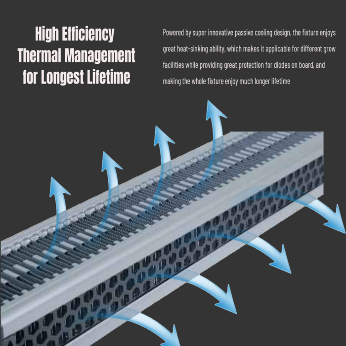 Is Energy-Efficient Greenhouse Lighting the Solution to Eco-Friendly Farming